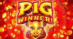 PIG WINNER SLOT: Mr. Pig, what do you have in store for us? - Vimarsana News